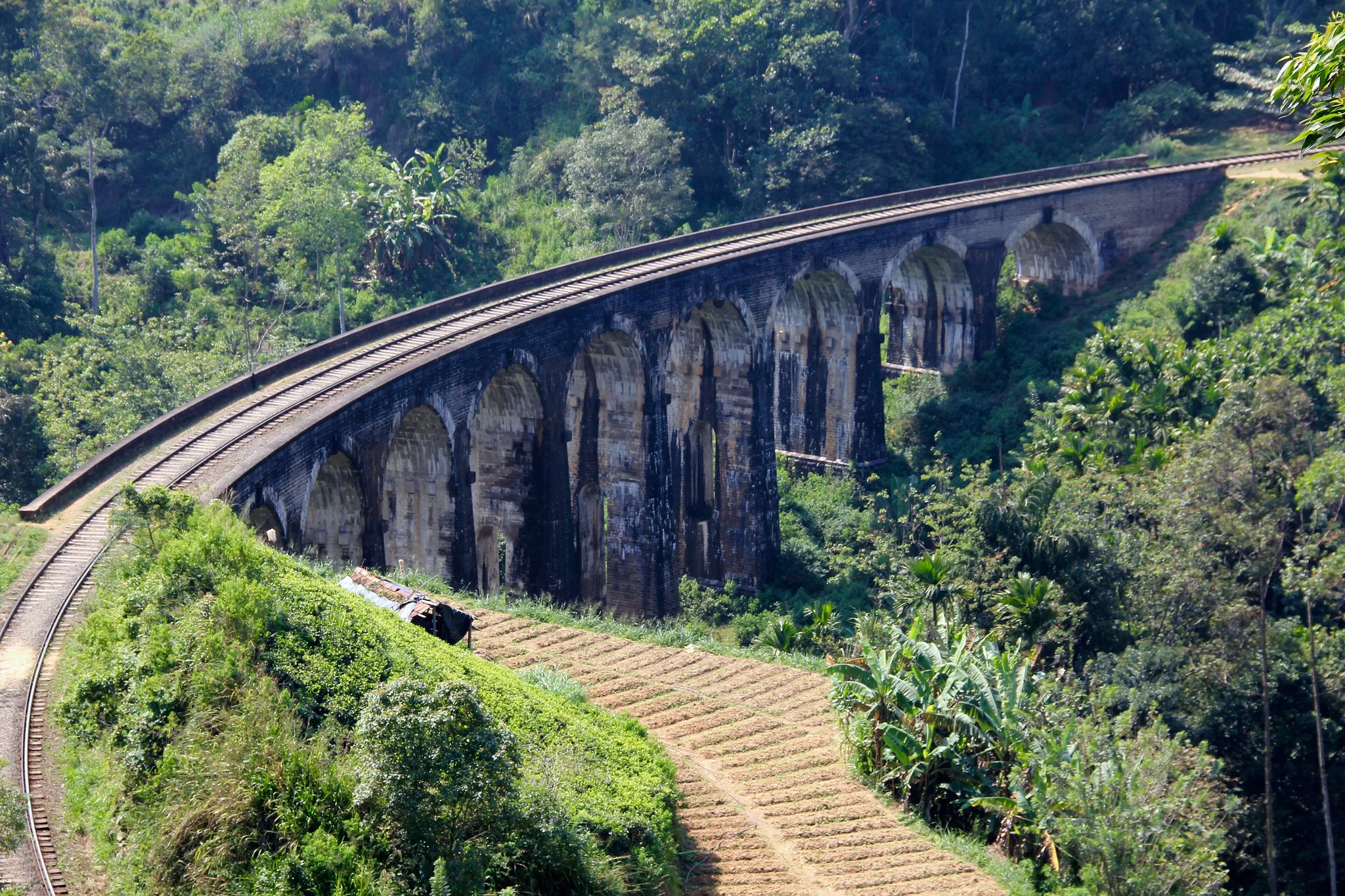 Ella and the Highlands, Sri Lanka